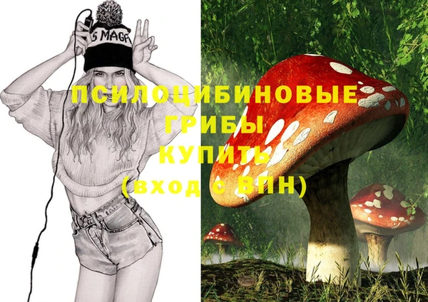 spice Бородино