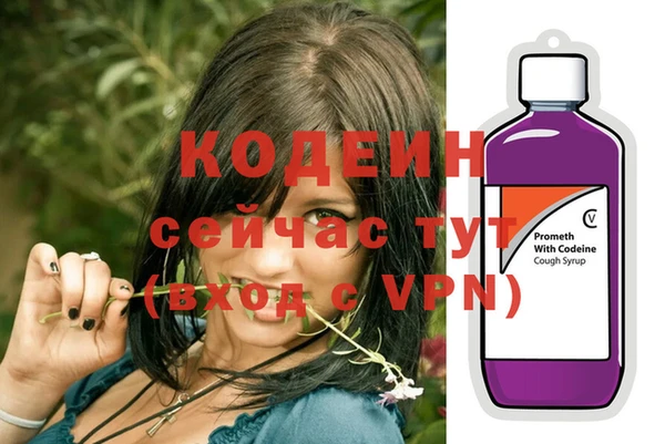 шишки Верея