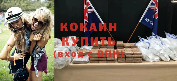 шишки Верея