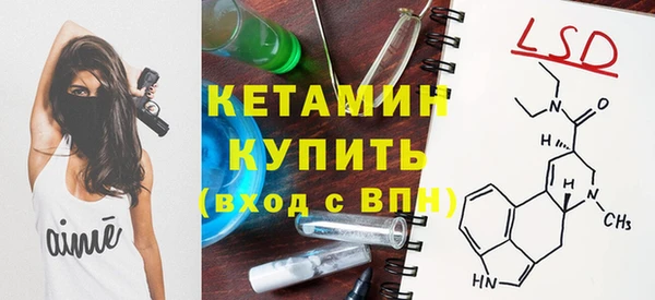 спиды Богданович