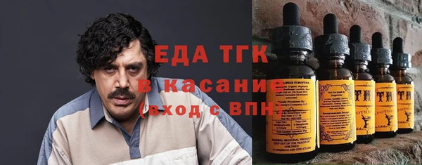 шишки Верея