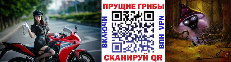 Псилоцибиновые грибы Cubensis  Купить  Дудинка 